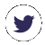 Twitter Logo